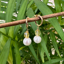 Load image into Gallery viewer, Edison White Pearls and Citrine Hoop Earrings