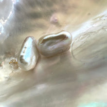 Cargar imagen en el visor de la galería, White Rectangle Baroque Pearl Stud Earrings, Silver