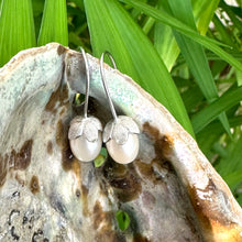 Carica l'immagine nel visualizzatore di Gallery, Rice Pearl Earrings – silver pair close-up on pearl shell and green foliage