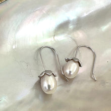 Carica l'immagine nel visualizzatore di Gallery, Rice Pearl Earrings – silver version close-up on white pearl shell background