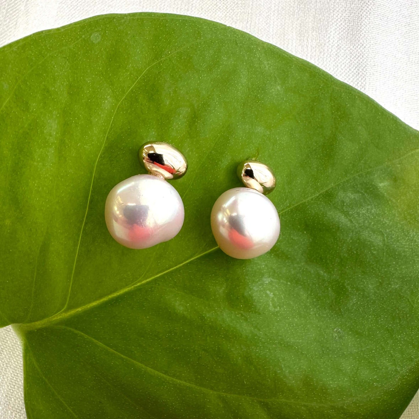 Nugget pearl stud earrings with soft pink luster against green leaf background
