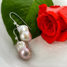 Carica l'immagine nel visualizzatore di Gallery, Lavender Baroque Pearl Earrings – close-up against white pearl shell and red rose