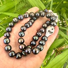 Load image into Gallery viewer, Black Pearl Necklace – held by hand against green foliage background