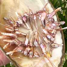Load image into Gallery viewer, Pink Biwa pearl necklace resting on white shell backdrop, iridescent purplish pearls