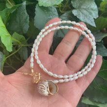 Load image into Gallery viewer, Real Seashell Pendant and Pearl Necklace