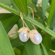 Carica l'immagine nel visualizzatore di Gallery, Rice Pearl Earrings – gold tulip hooks dangling from green leaves in close-up
