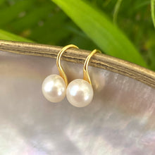Load image into Gallery viewer, Button Pearl Earrings – gold pair displayed on pearl shell with green leaf backdrop