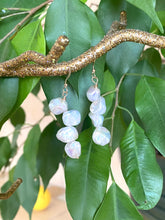 Load image into Gallery viewer, Keshi Pearls & 14k GF Drop Earrings