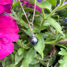 Load image into Gallery viewer, Tahitian Teardrop Pearl Pendant on Sterling Silver Box Chain