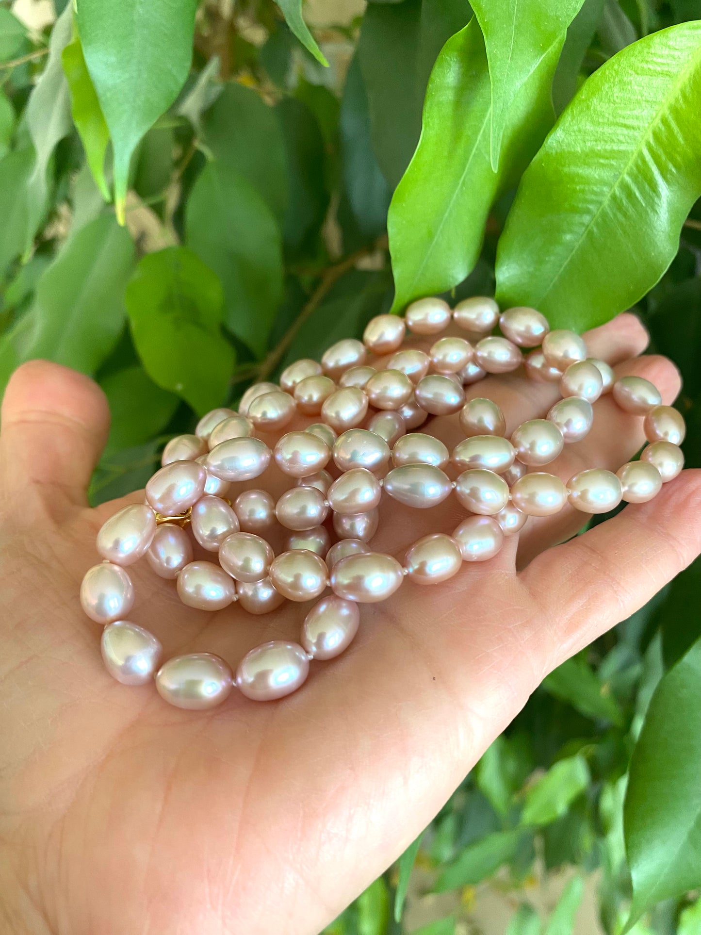 Pearl necklace held in a hand with green leaves in the background