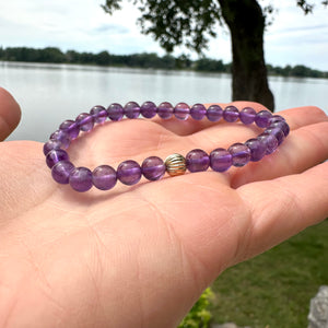 AAAA+ Amethyst Bracelet in 6 or 8mm, February Birthstone, Gold Filled, 7"in