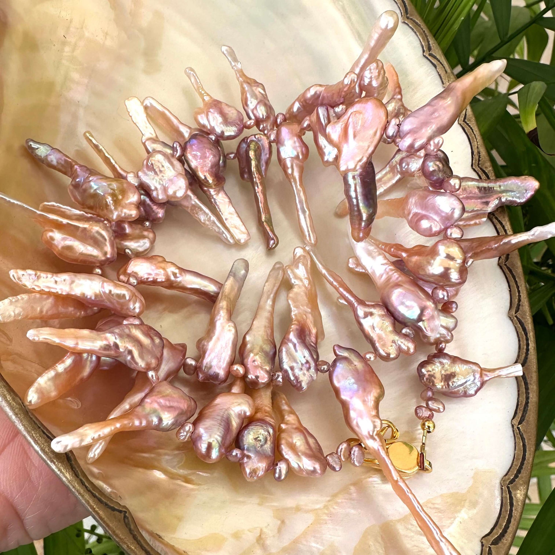 Pink Biwa pearl necklace resting on white shell backdrop, iridescent purplish pearls
