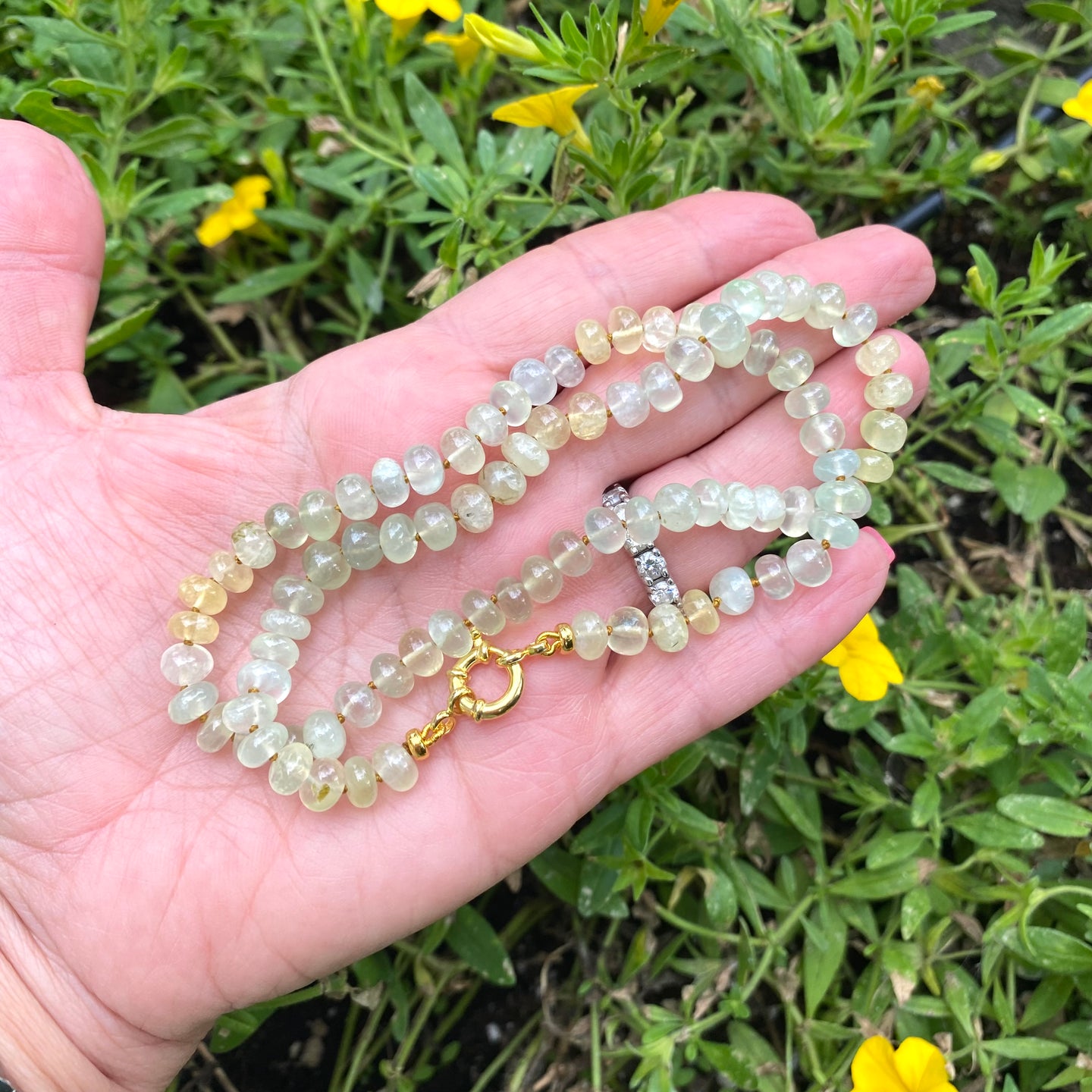 Shaded Prehnite Candy Necklace, Gold Marine Closure, 19.5