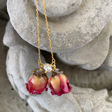 Lade das Bild in den Galerie-Viewer, Real Red Roses and Freshwater Pearl Threader Earrings, 4.5&quot;in Gold Vermeil Plated Silver
