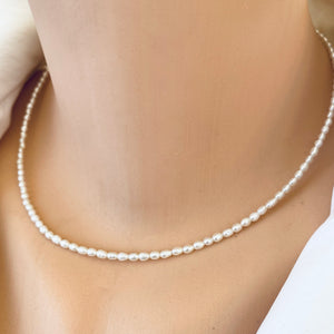 White Mini Rice pearl Necklace with Sea Shell Charm, Gold Filled, 16"inches Dainty Pearl Necklace